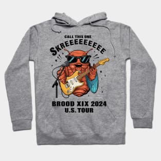 Entomology Cicada Brood XIX Skreeee 2024 Cicada Fest Hoodie